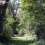 Trilha e Cascata Ecológica