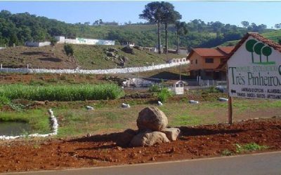 Parque dos Três Pinheiros