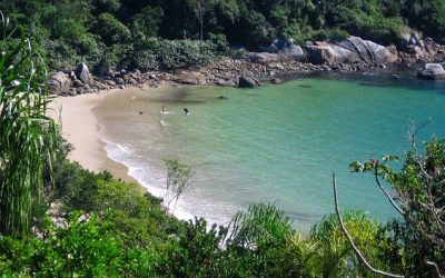 Praia do Araçá