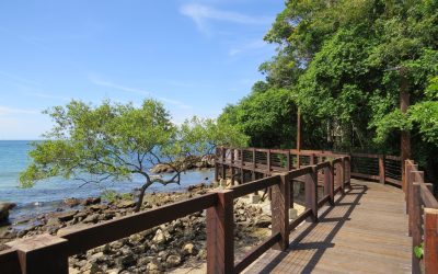 Passarela da Praia do Ribeiro