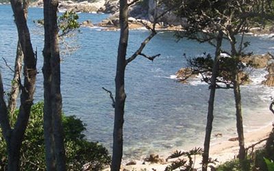 Praia e Trilha da Galheta