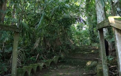 Trilha Ecológica do Juvenato Marista