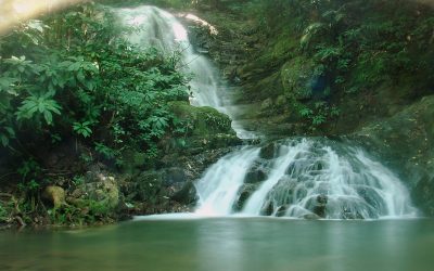 Trilha do Ribeirão Caeté