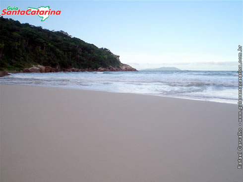 Ilha do Arvoredo