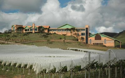 Villa Francioni: Pioneira dos Vinhos de Altitude em SC completa 20 anos de seus primeiros rótulos