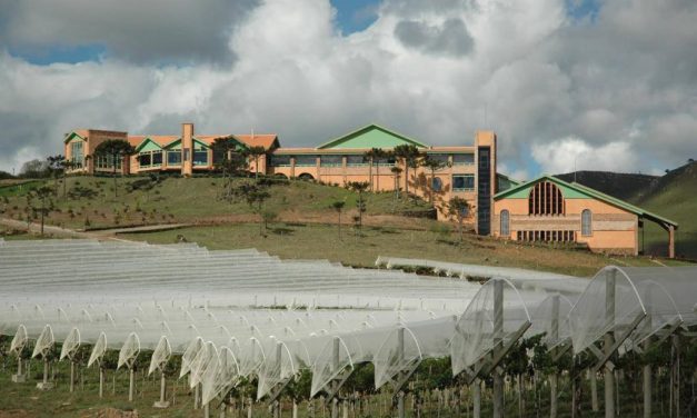 Villa Francioni: Pioneira dos Vinhos de Altitude em SC completa 20 anos de seus primeiros rótulos