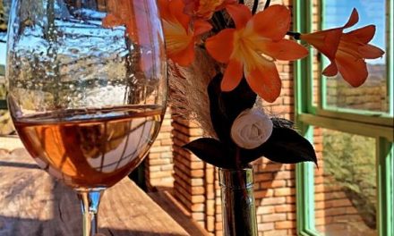 Quais vinhos e espumantes combinam com o verão? Confira as opções refrescantes da Villa Francioni